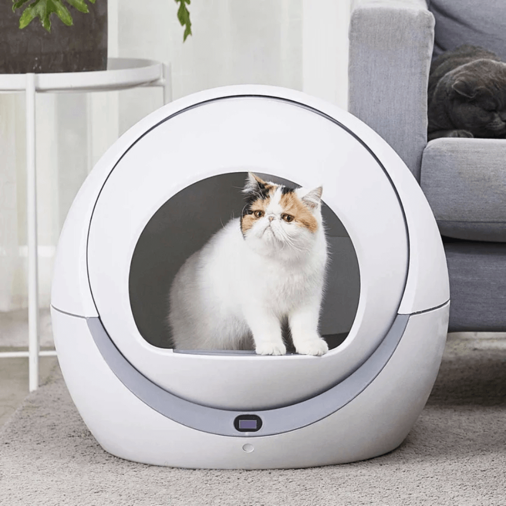 ห้องน้ำเเมวแบบอัตโนมัติ พร้อม WIFI THAI SUN SPORT รุ่น PET0038